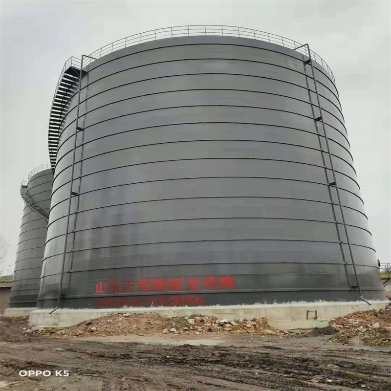 永春3万吨大型钢板库