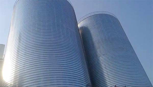 永春2座混凝土高架卷板仓